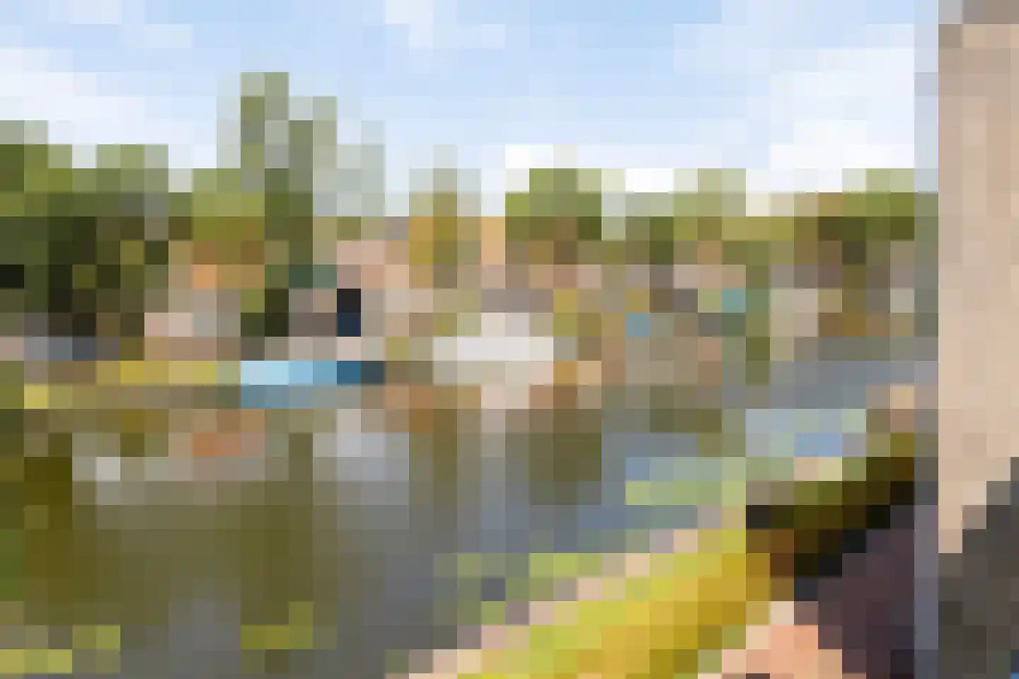 Baandervesting 115 Edam thumbnail 13