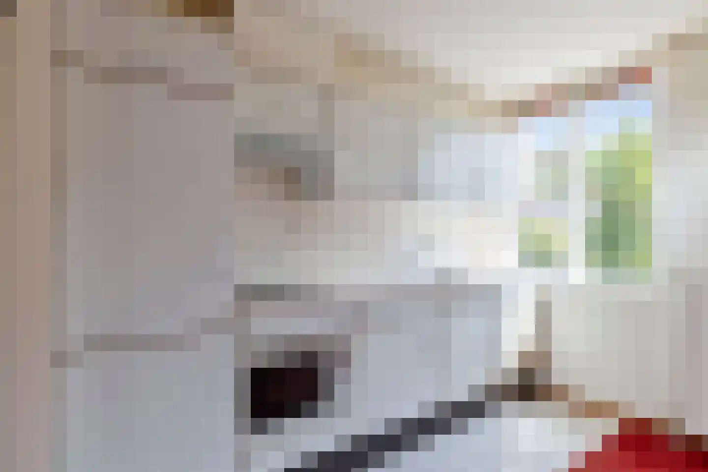 Baandervesting 115 Edam thumbnail 16