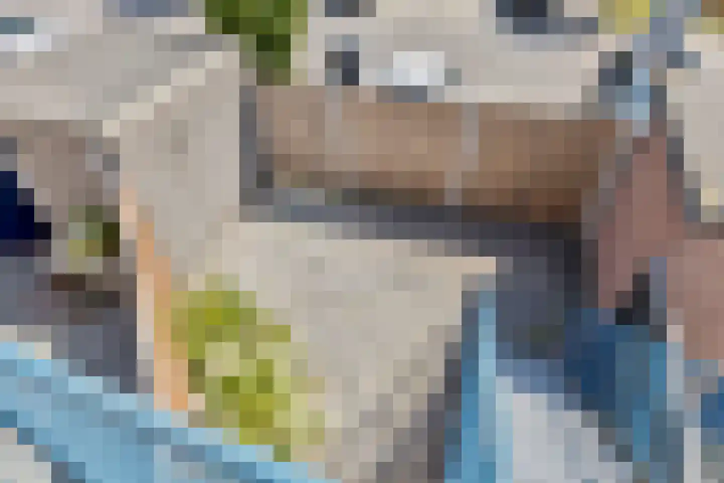 Baandervesting 115 Edam thumbnail 26