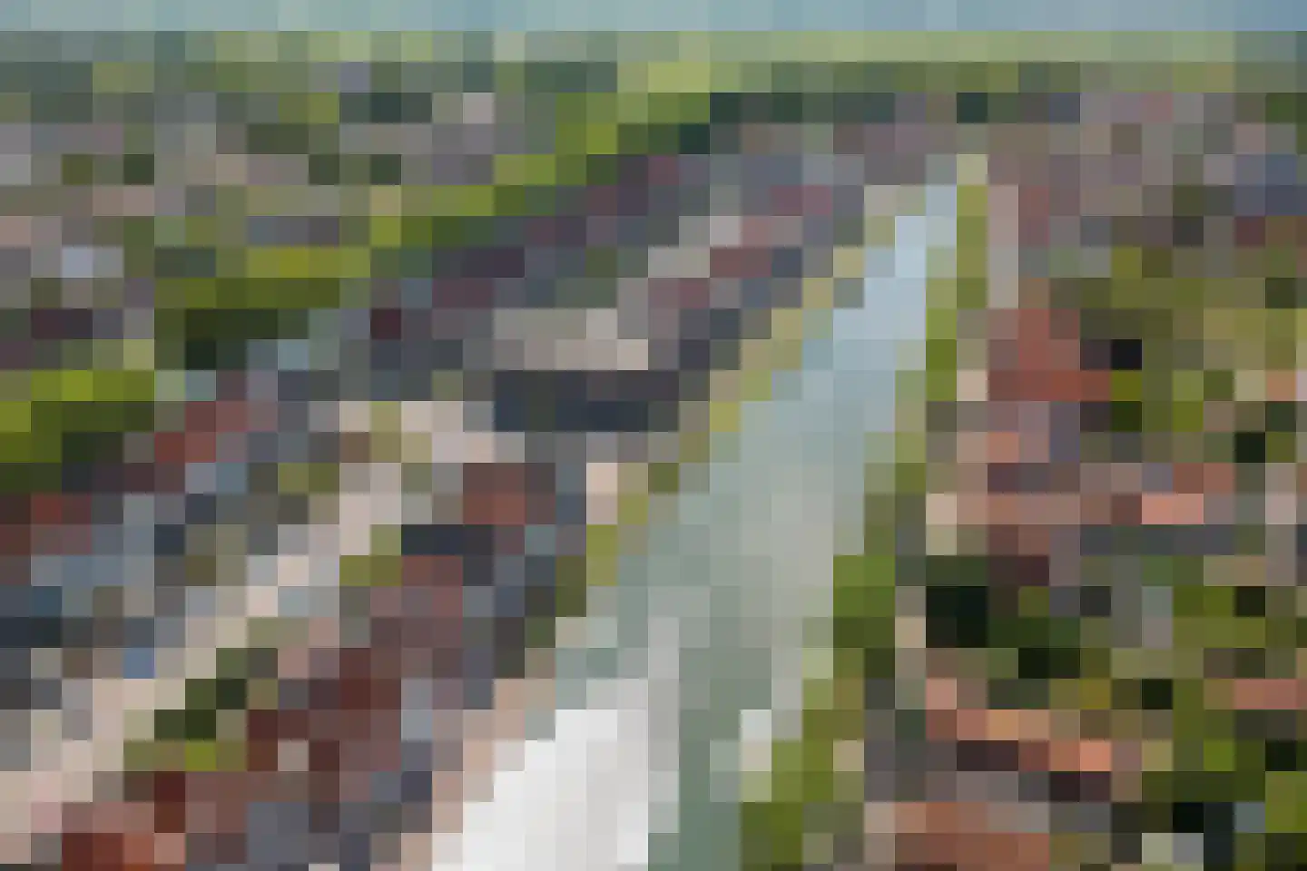 Baandervesting 115 Edam thumbnail 30