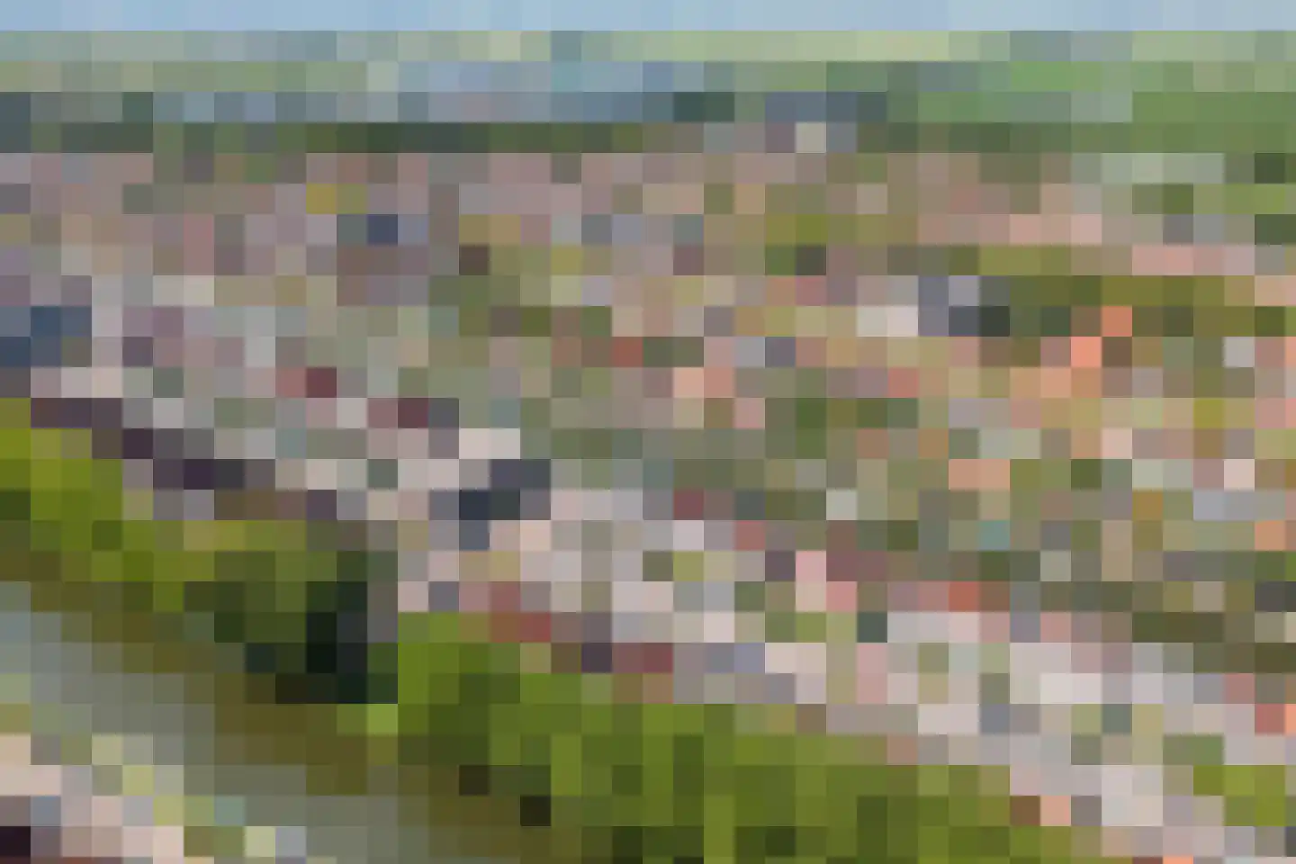 Baandervesting 115 Edam thumbnail 31