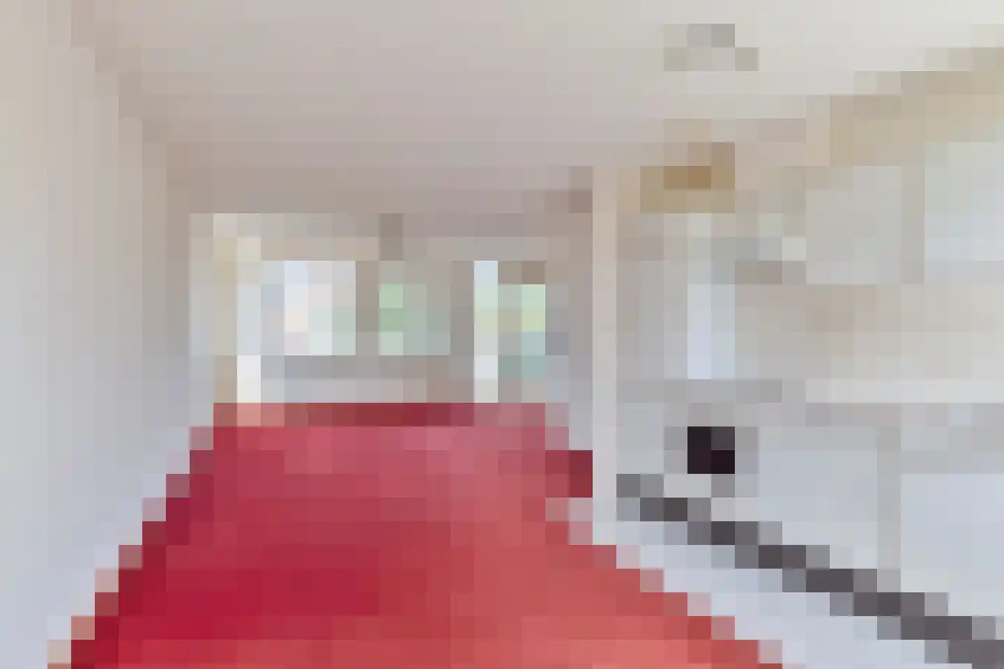 Baandervesting 115 Edam thumbnail 7