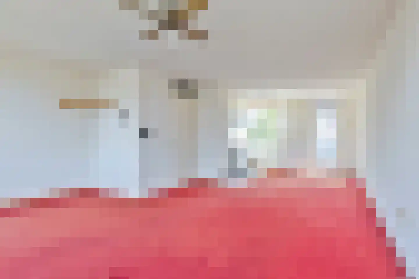 Baandervesting 115 Edam thumbnail 8