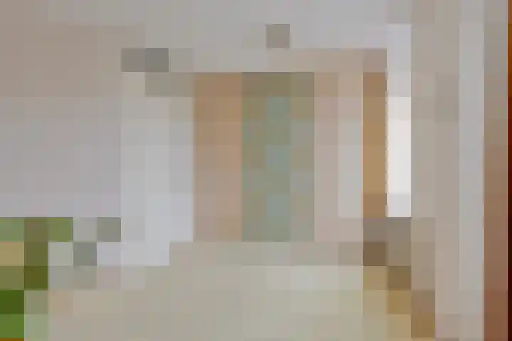 Baandervesting 51 Edam thumbnail 23
