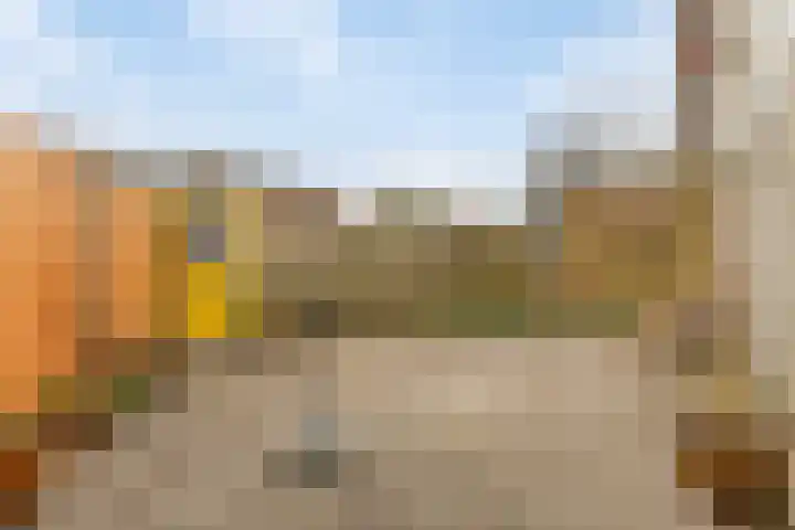 Baandervesting 51 Edam thumbnail 31