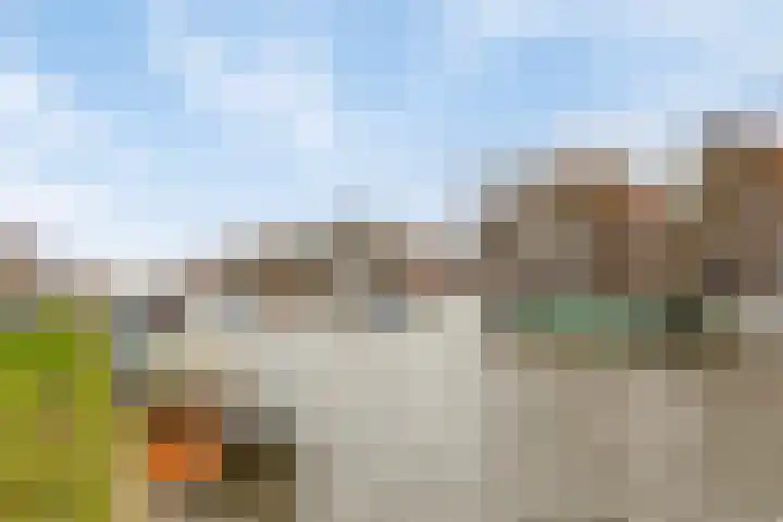 Baandervesting 51 Edam thumbnail 37