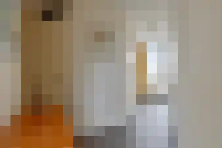 Baandervesting 51 Edam thumbnail 7
