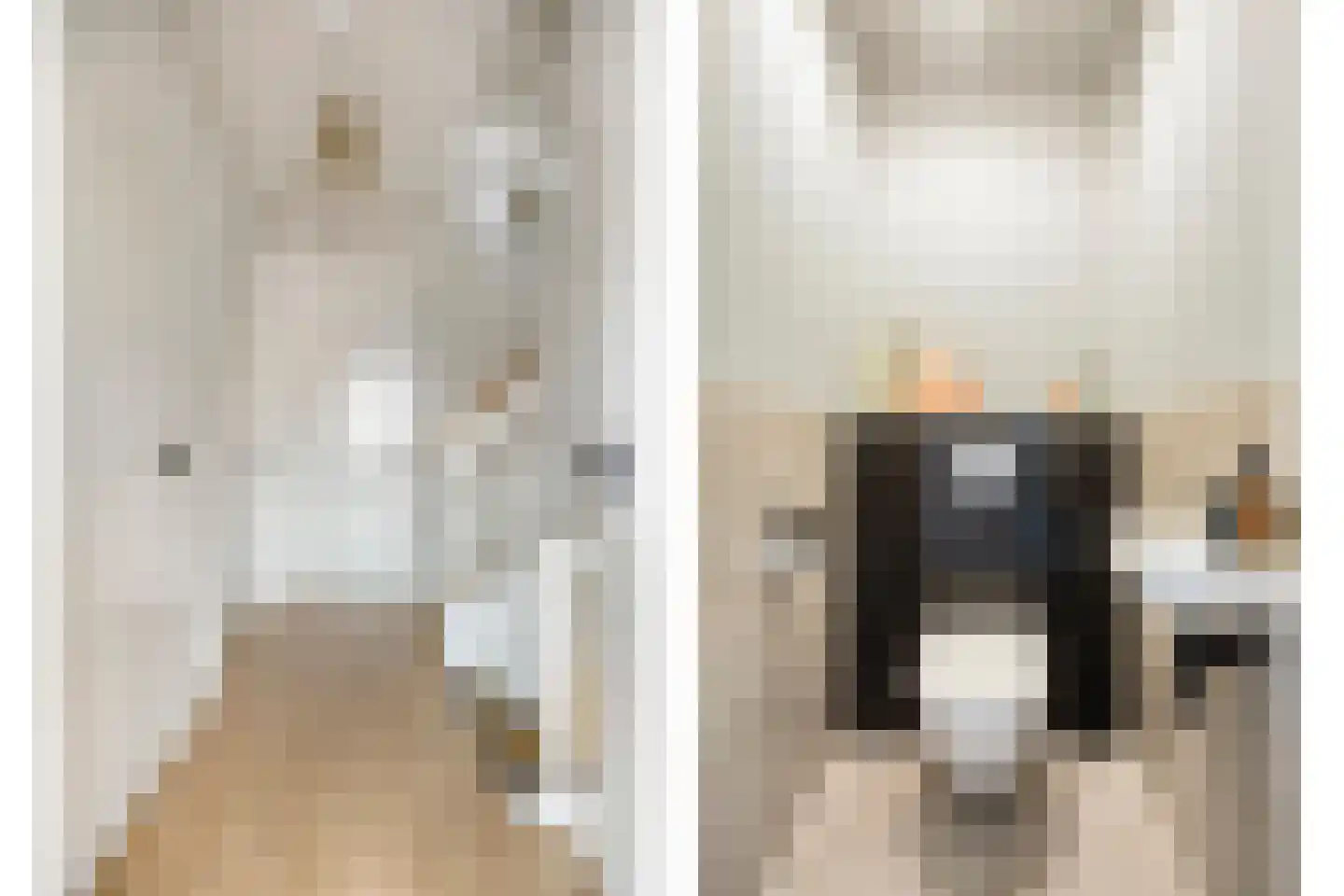 Baandervesting 8 Edam thumbnail 22