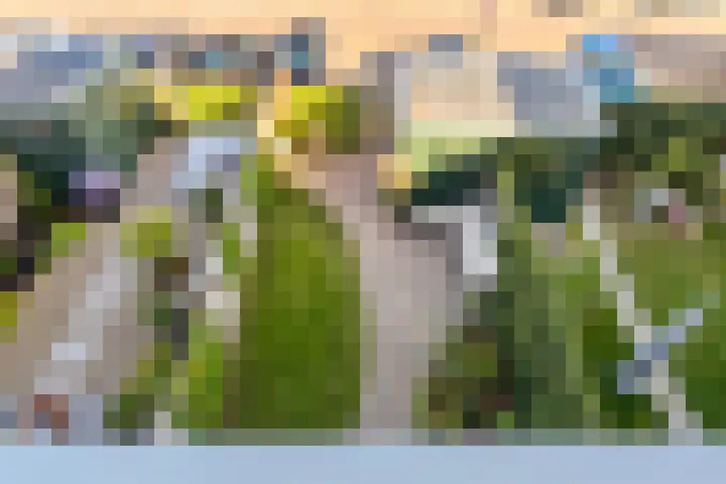 Baandervesting 8 Edam thumbnail 6