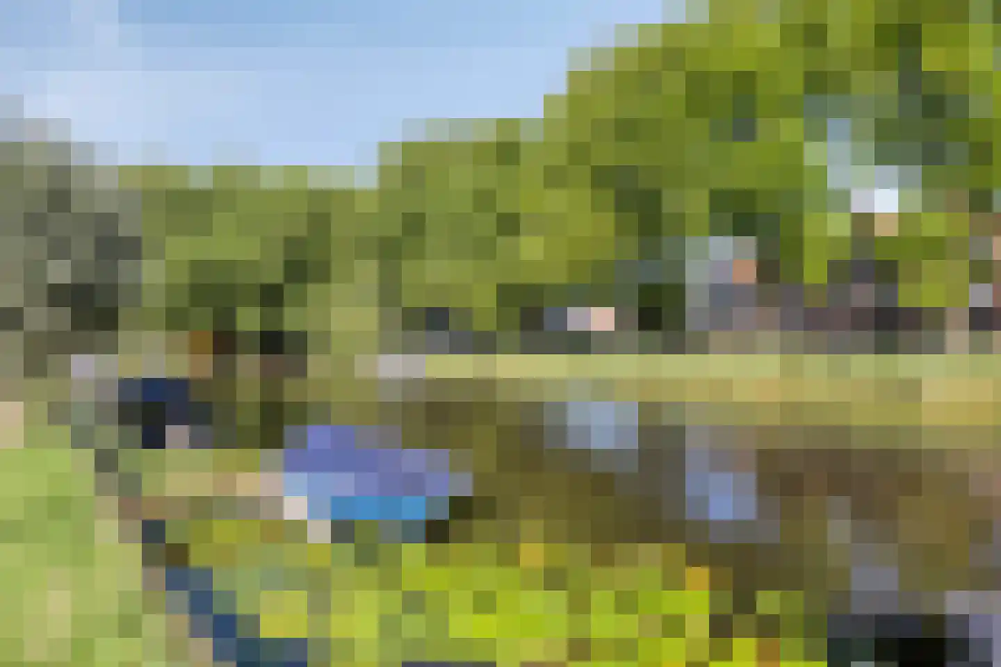Baandervesting 8 Edam thumbnail 7