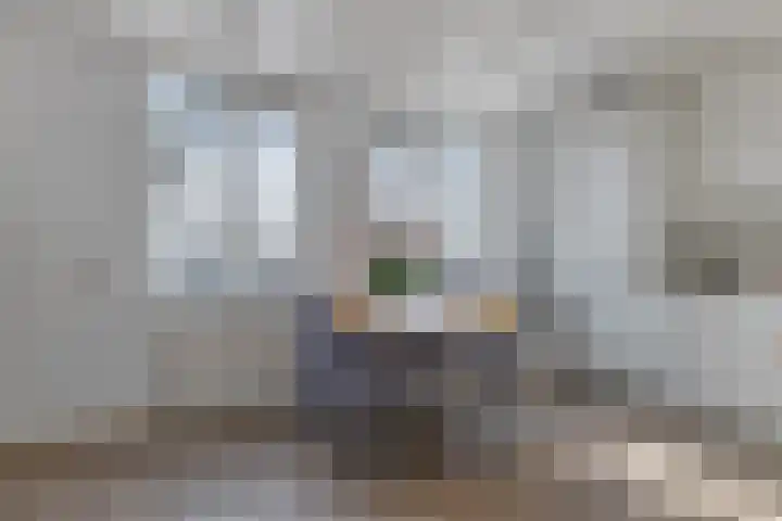 Baandervesting 81 Edam thumbnail 14