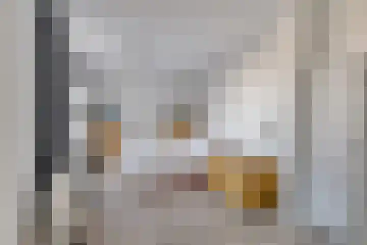 Baandervesting 81 Edam thumbnail 17