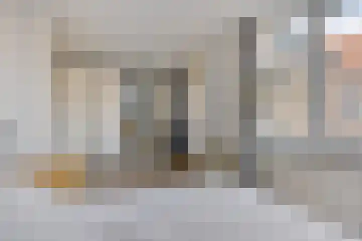 Baandervesting 81 Edam thumbnail 19