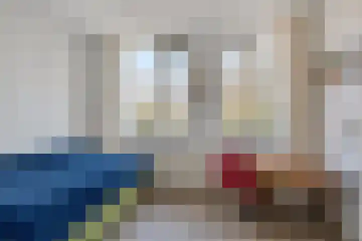 Baandervesting 81 Edam thumbnail 20