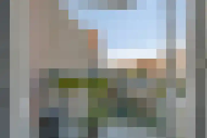 Baandervesting 81 Edam thumbnail 28