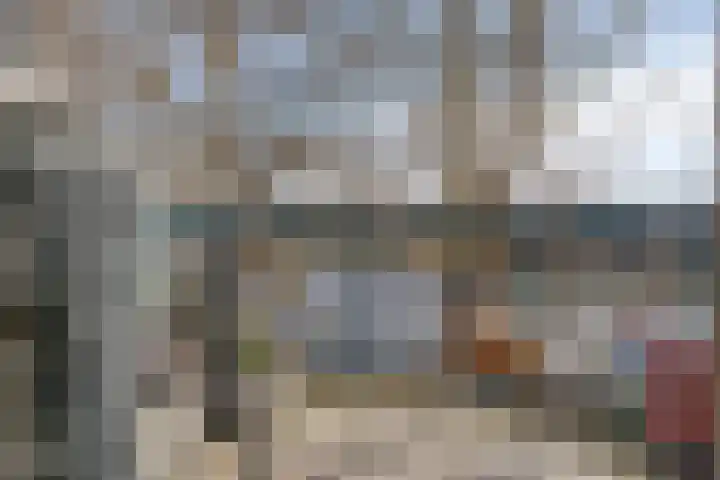 Baandervesting 81 Edam thumbnail 31