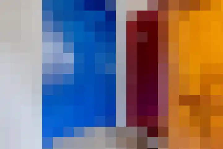 Baandervesting 81 Edam thumbnail 33