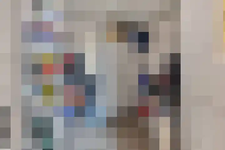 Baandervesting 81 Edam thumbnail 34