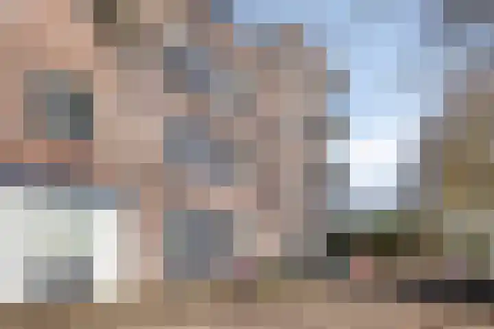 Baandervesting 81 Edam thumbnail 36