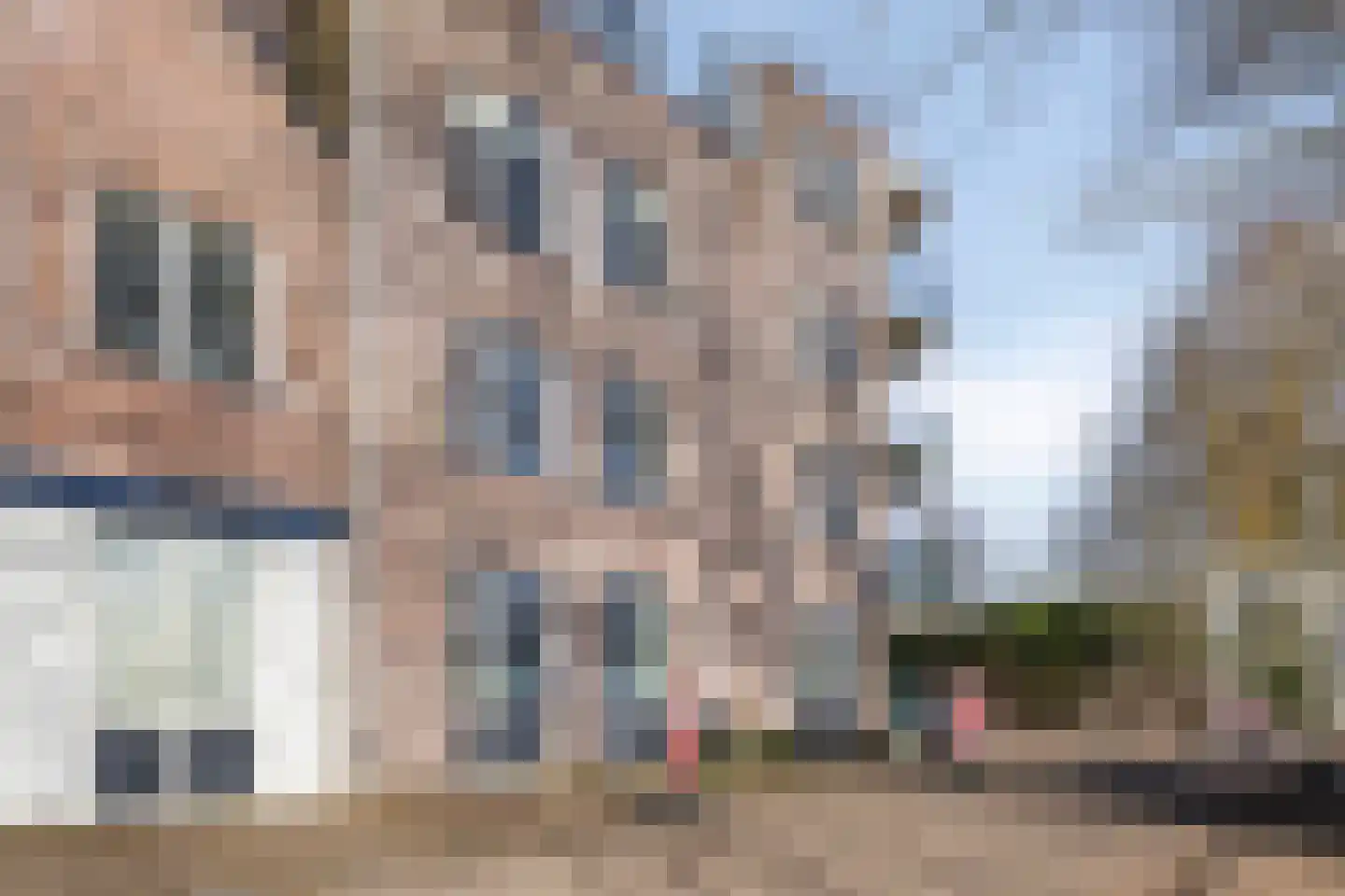 Baandervesting 81 Edam thumbnail 36