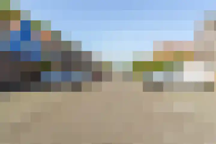 Baandervesting 81 Edam thumbnail 37