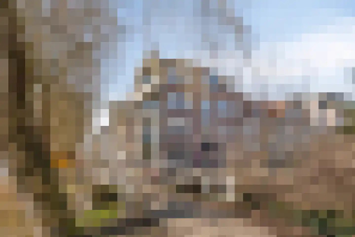 Baandervesting 81 Edam thumbnail 38