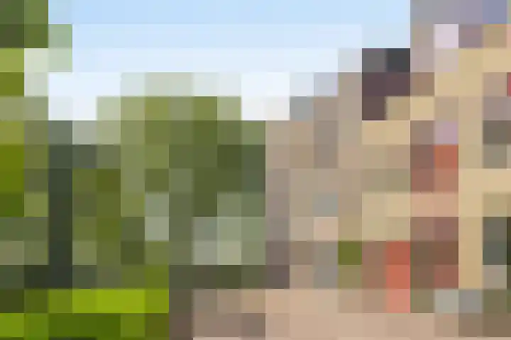 Baandervesting 81 Edam thumbnail 39