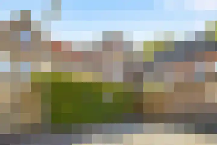 Baandervesting 81 Edam thumbnail 41