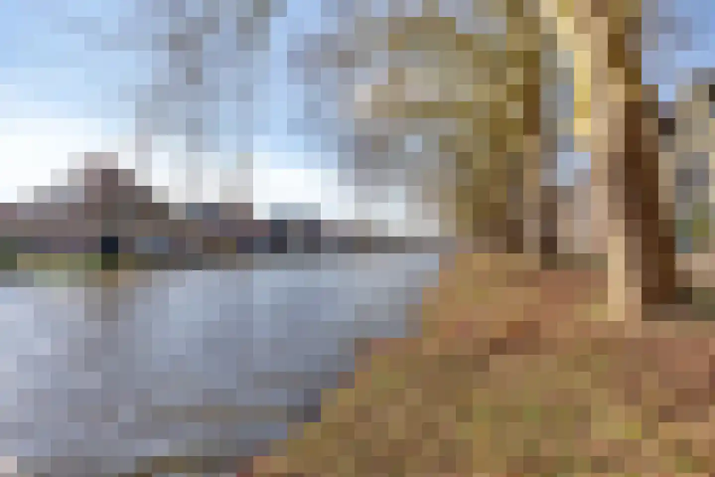 Baandervesting 81 Edam thumbnail 47