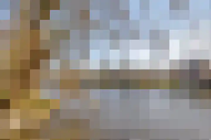 Baandervesting 81 Edam thumbnail 48