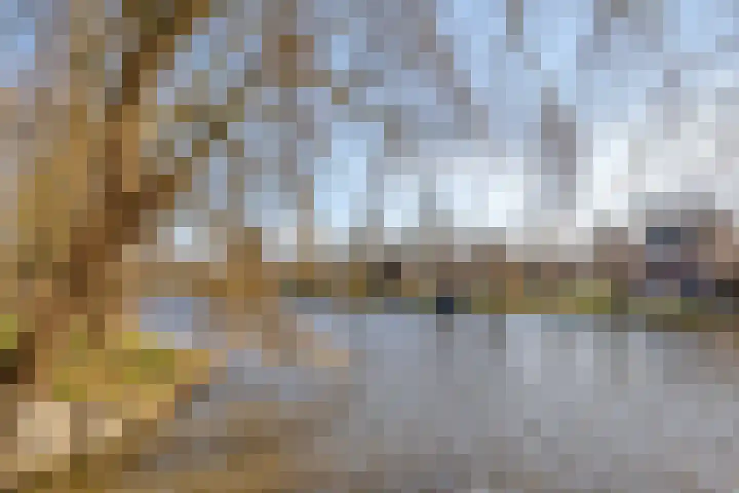 Baandervesting 81 Edam thumbnail 48