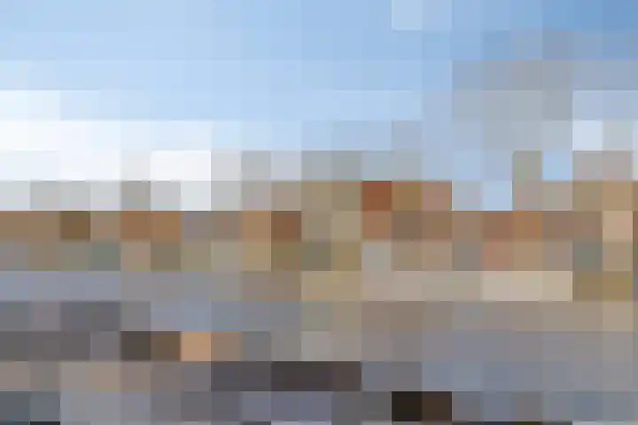 Baandervesting 81 Edam thumbnail 49