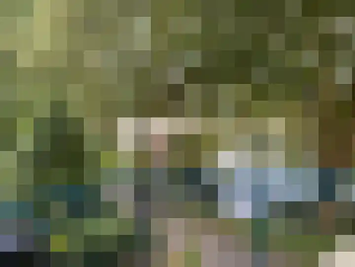 Baandervesting 81 Edam thumbnail 50