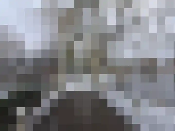 Baandervesting 81 Edam thumbnail 51