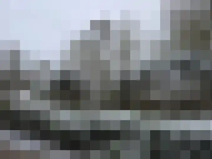 Baandervesting 81 Edam thumbnail 52