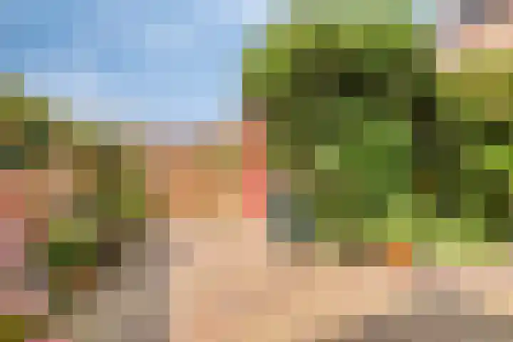 Baandervesting 86 Edam thumbnail 12
