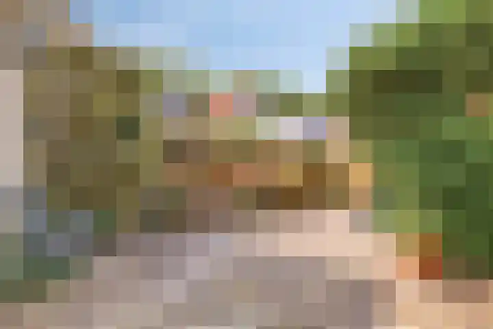 Baandervesting 86 Edam thumbnail 13