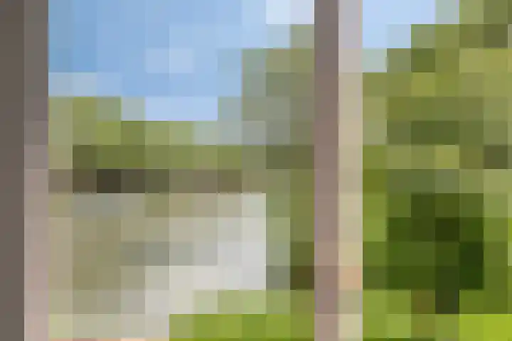 Baandervesting 86 Edam thumbnail 16