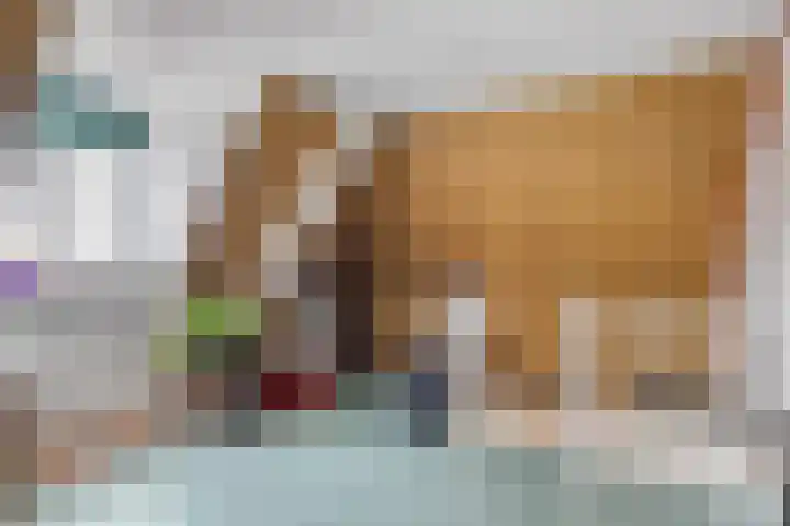 Baandervesting 86 Edam thumbnail 23