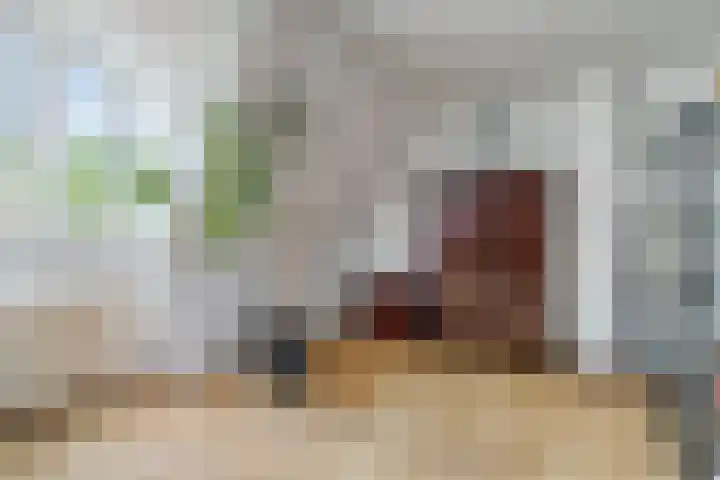 Baandervesting 86 Edam thumbnail 24