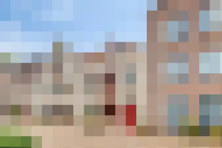 Baandervesting 86 Edam thumbnail 25