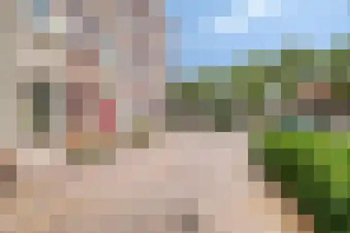 Baandervesting 86 Edam thumbnail 26