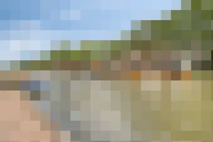 Baandervesting 86 Edam thumbnail 27
