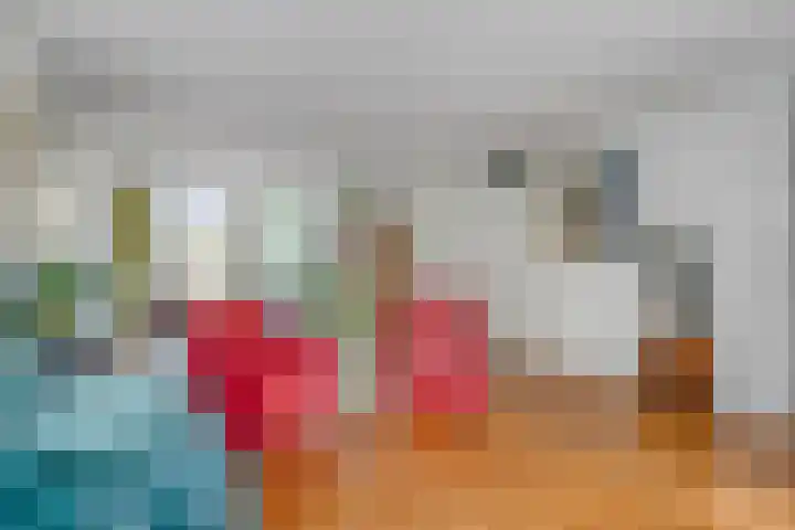 Baandervesting 86 Edam thumbnail 7