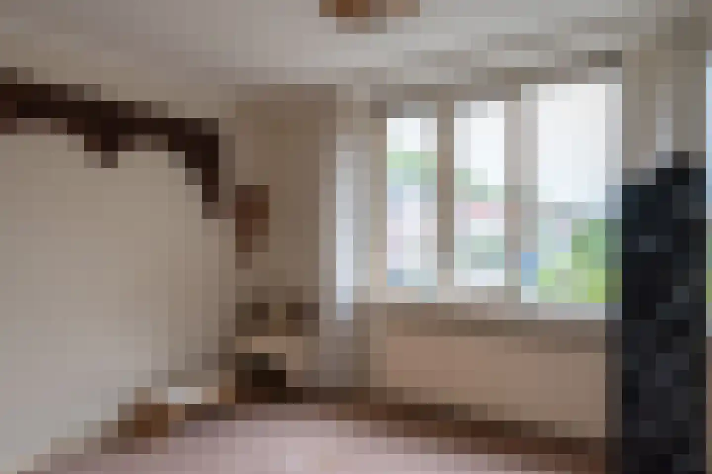Baandervesting 88 Edam thumbnail 21