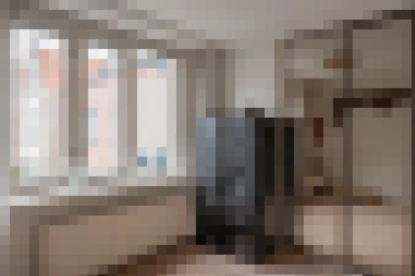 Baandervesting 88 Edam thumbnail 22