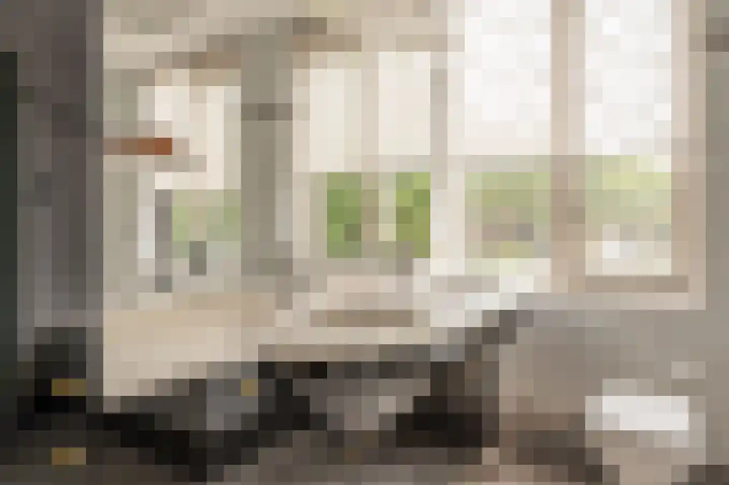 Baandervesting 88 Edam thumbnail 29