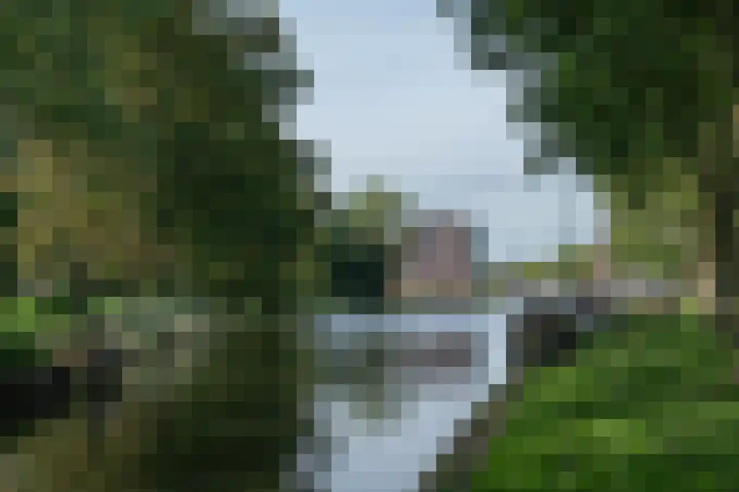 Baandervesting 88 Edam thumbnail 43