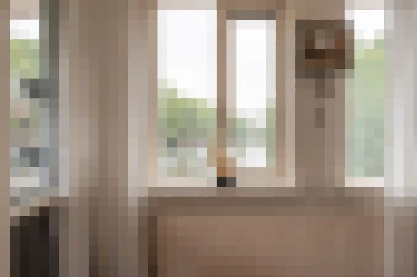 Baandervesting 88 Edam thumbnail 7