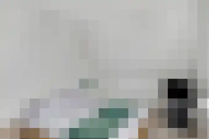 Baandervesting 90 Edam thumbnail 17